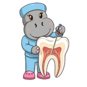 Endodoncia