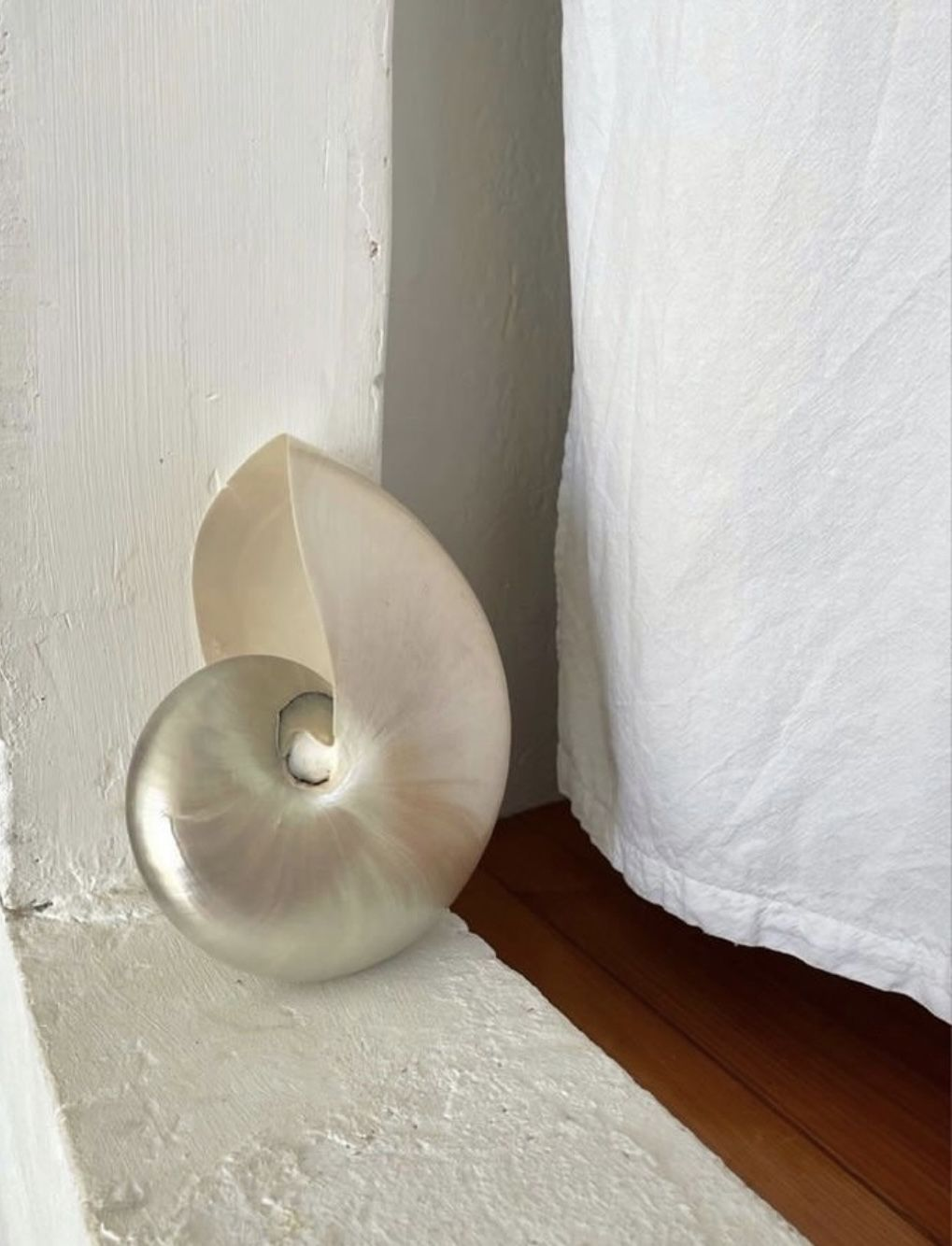 Shell