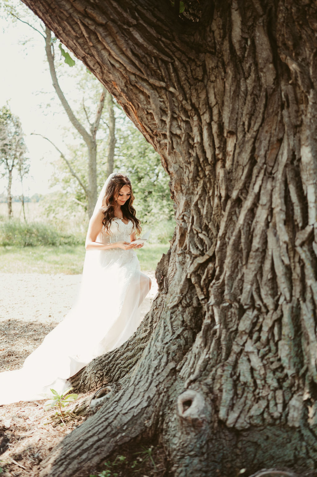 Country Barn Estates ceremony tree