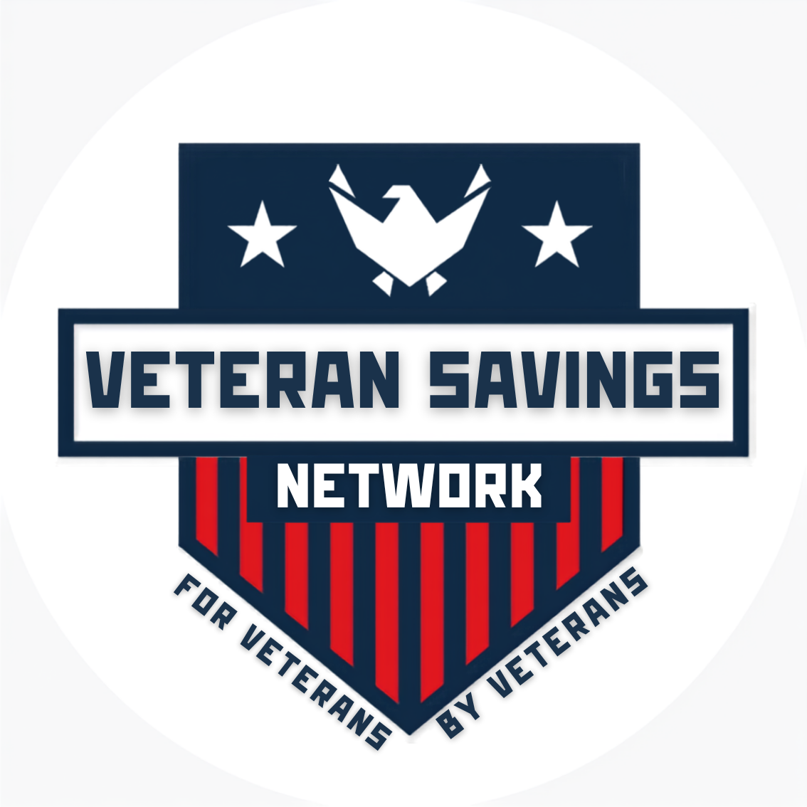 VSN Logo