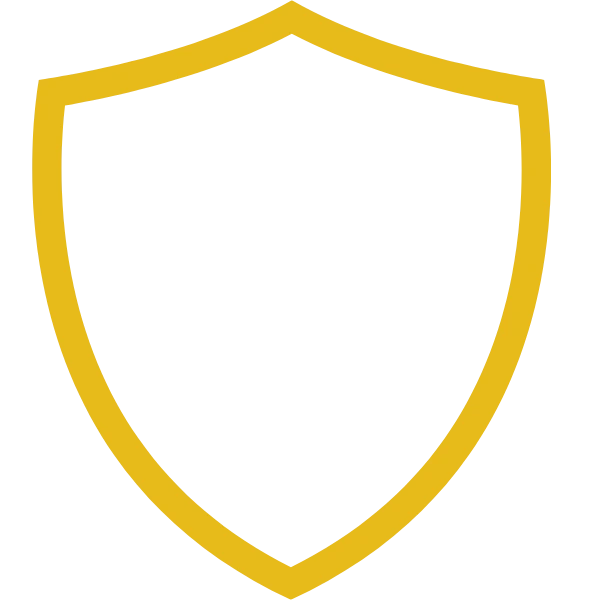 Shield Icon
