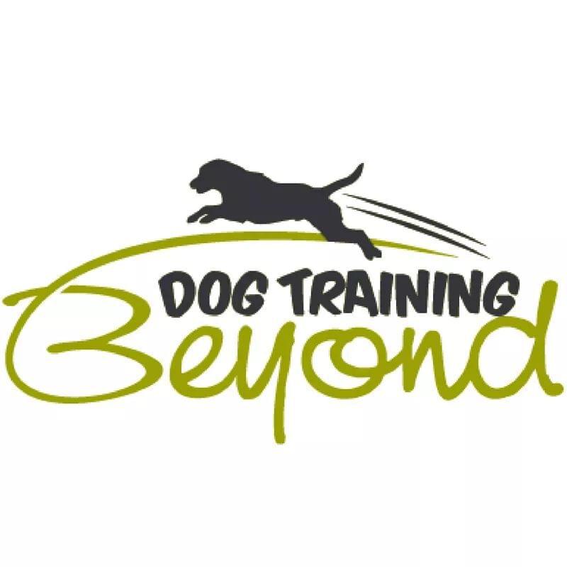 HUDSON VALLEY S ONLY FREE DOG TRAINING EVALUATION hudson-valley-s-only-free-dog-training-evaluation