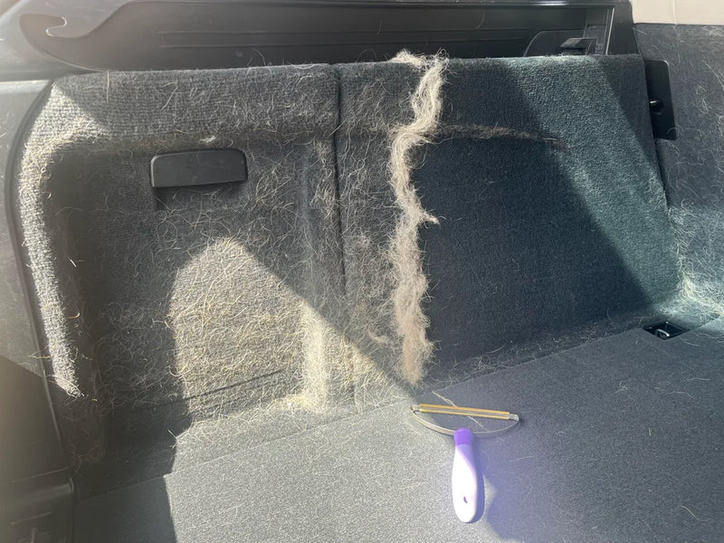 Pet Hair Removal