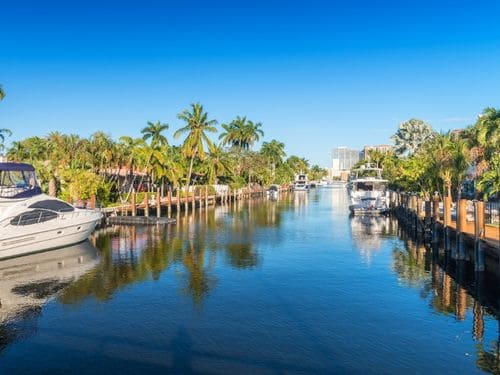 Venice Paver Joint Sanding