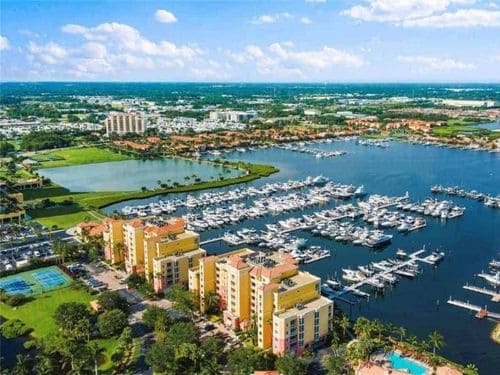 Palmetto Paver Joint Sanding