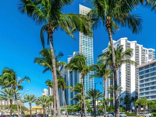 Port Charlotte Paver Joint Sanding