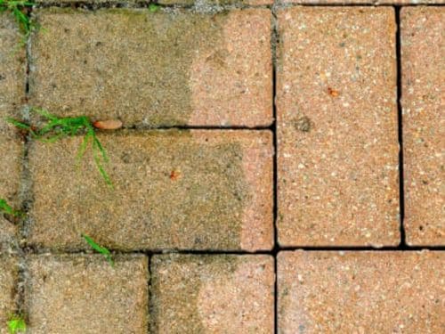 Paver Cleaning