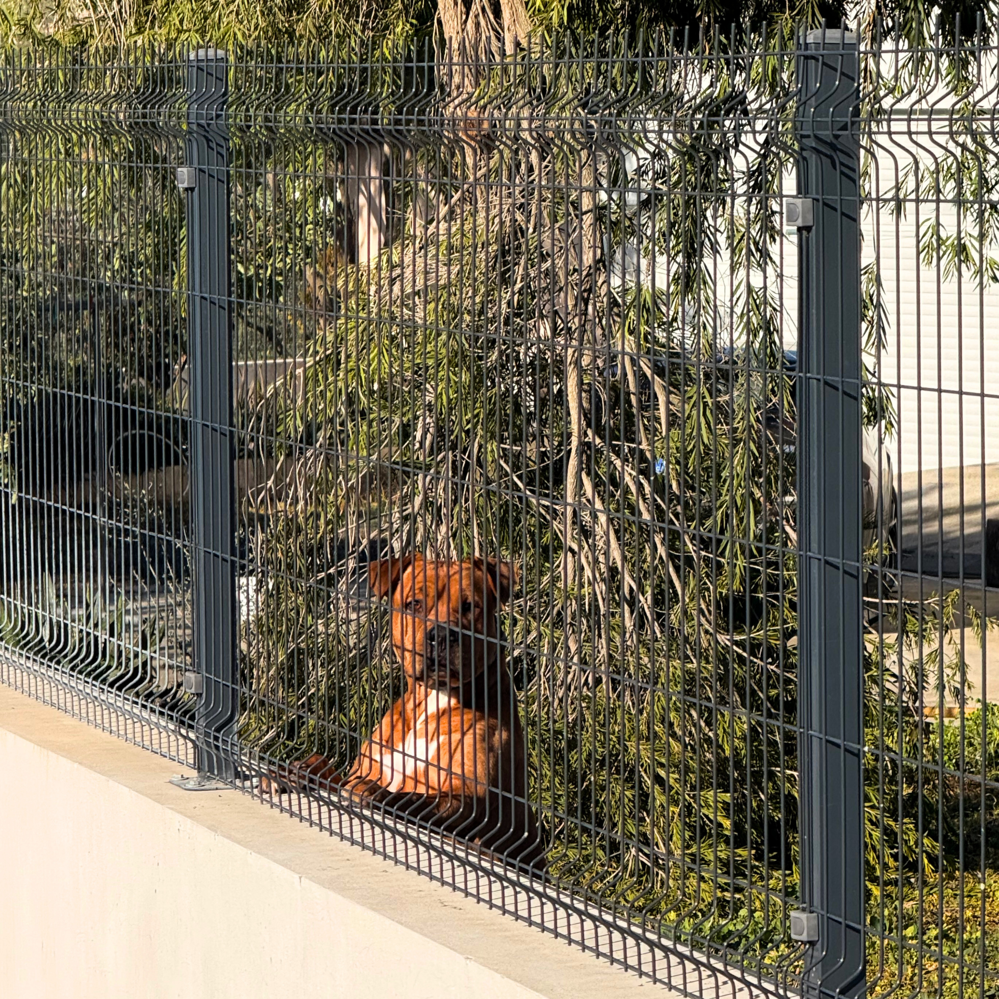 Prefab Fences Project Gallery 9