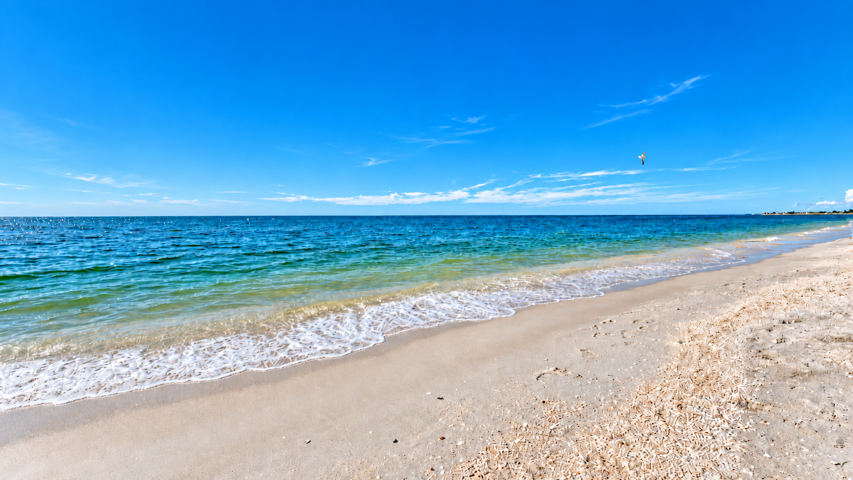 Pristine Nokomis Beach