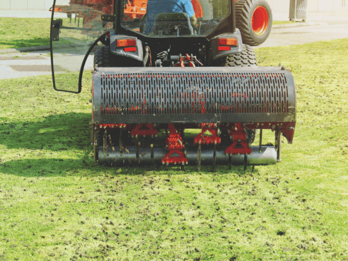 Aeration & Overseeding in Tampa, FL