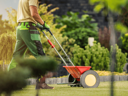 Lawn Fertilization in Tampa, FL