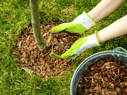 Mulching Services in Tampa, FL