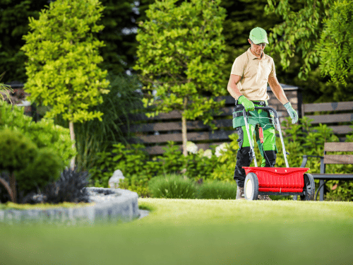 Commercial Lawn Care in Tampa, FL