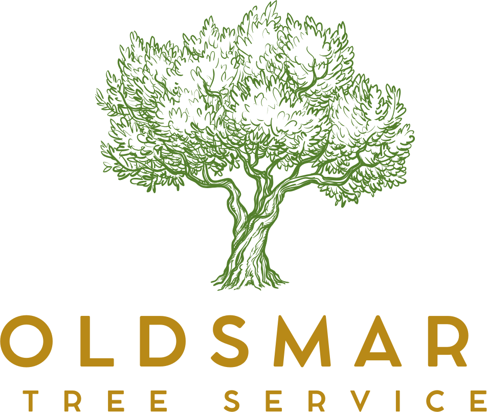 OldsmarTree Service logo