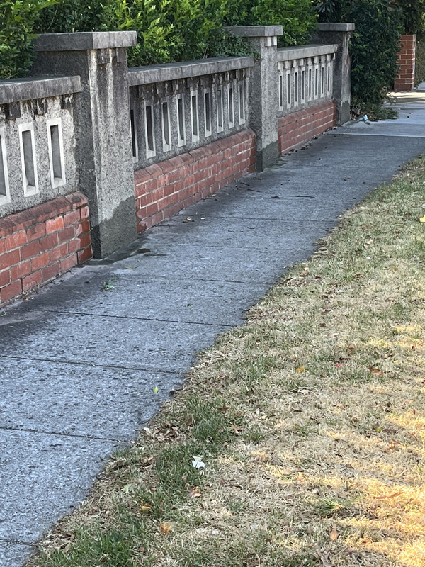 Essendon Plastering