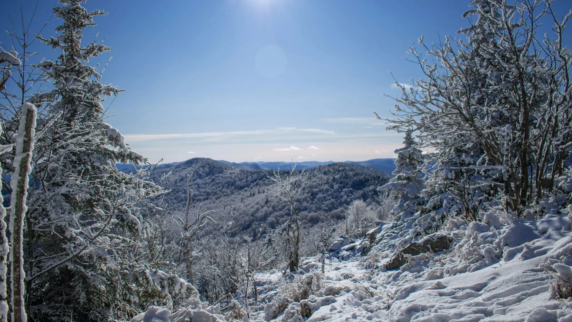 Snow-covered trees on a mountain ridge looking out over layered blue peaks