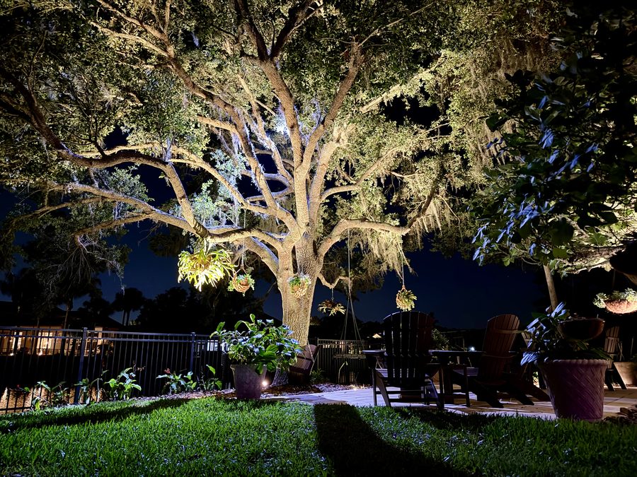 Oak tree uplighting with patio