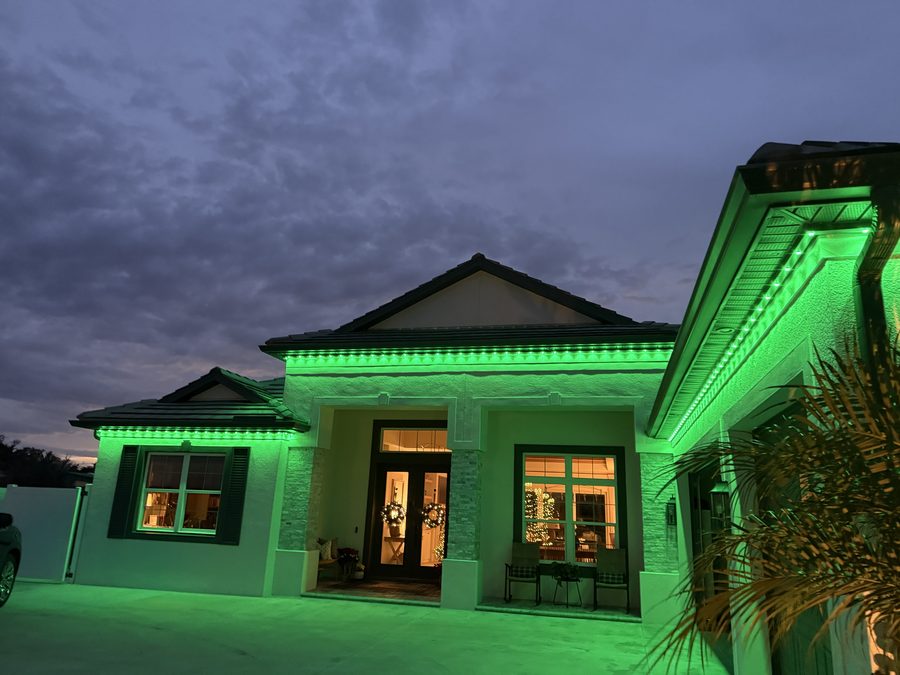 Palm tree uplighting