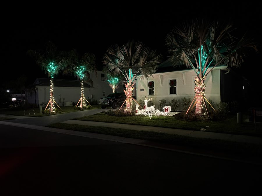 Multicolor permanent roofline lighting