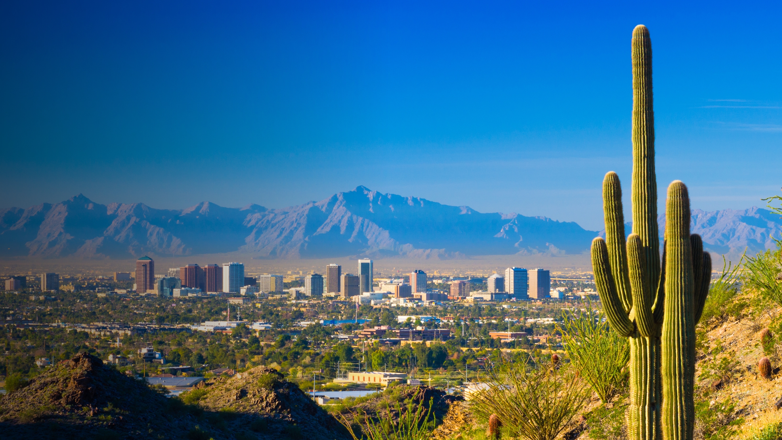 Scottsdale, Arizona desert landscape