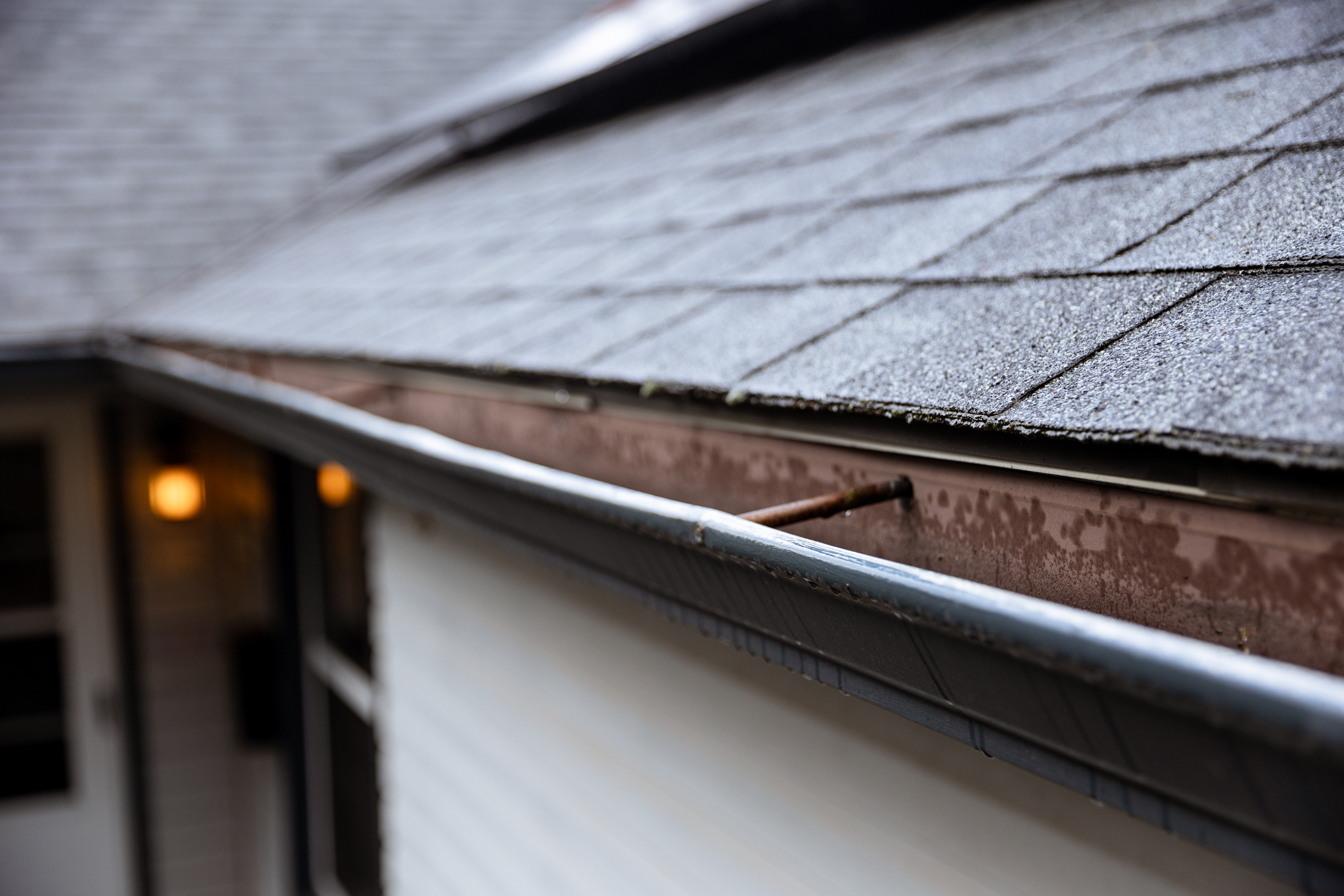 Gutter Services detail