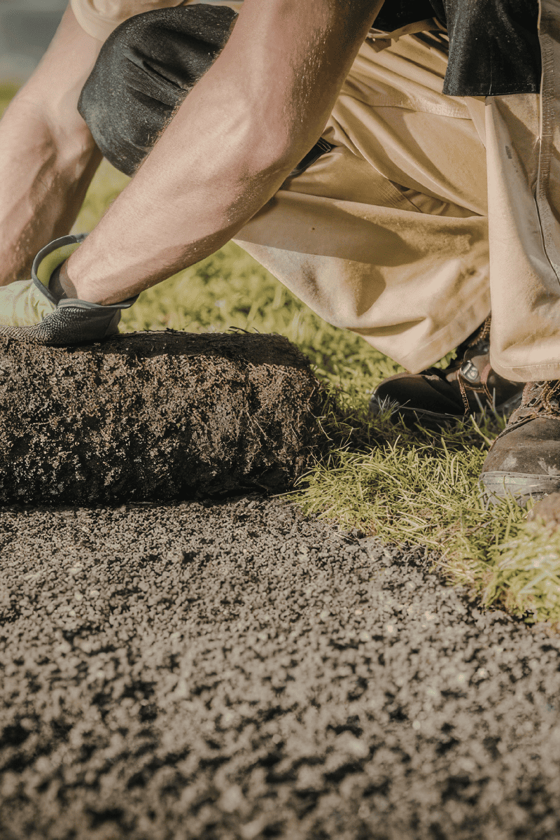 Example of sod Install in Raleigh NC by Pro Brothers Landscaping