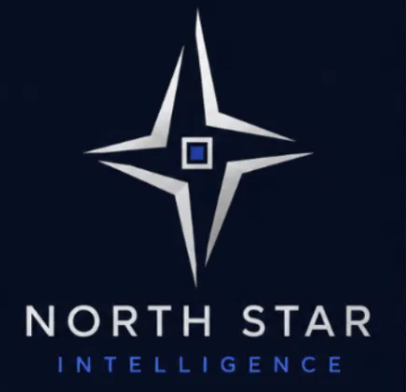 North Star Intelligence logo