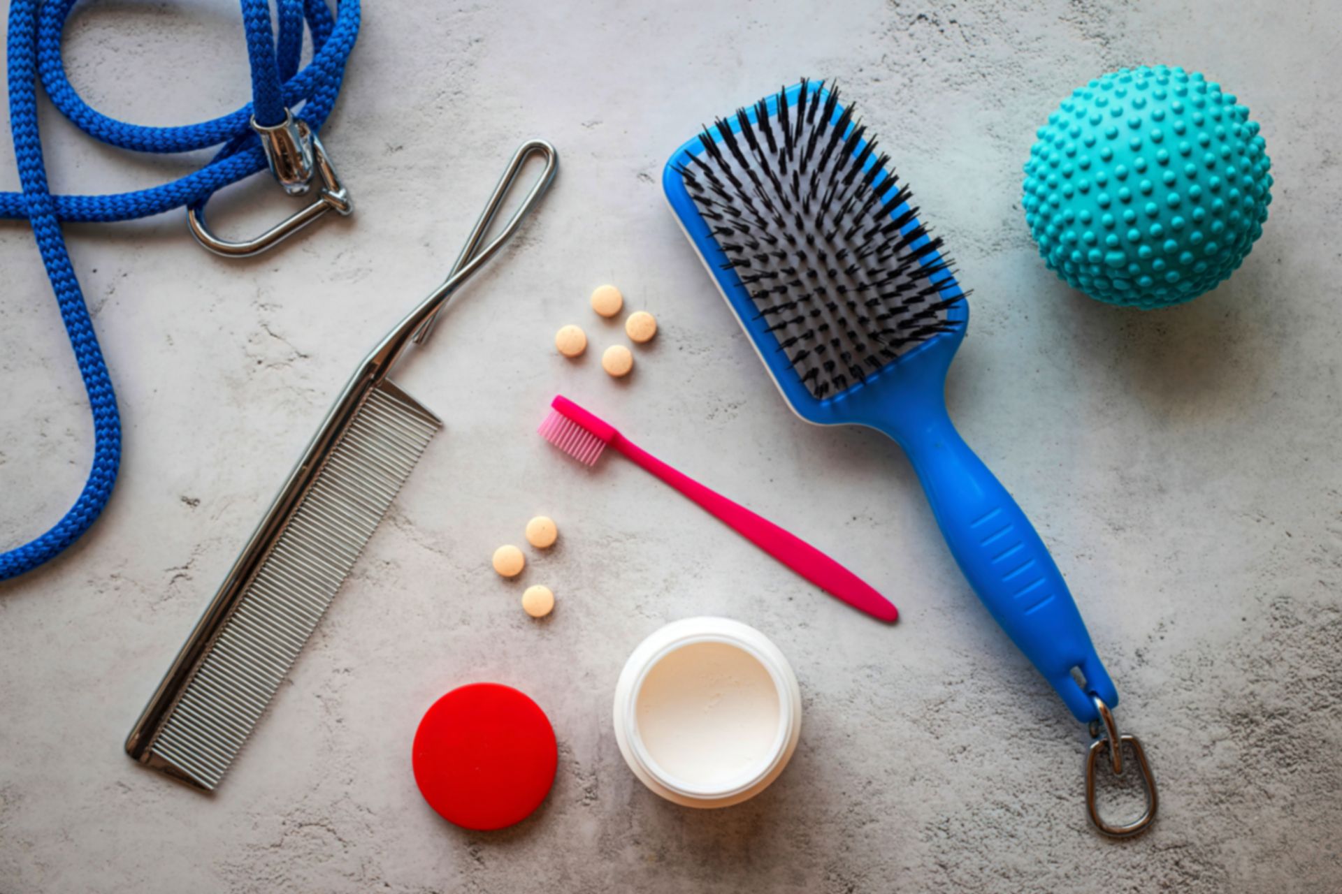 Coralville Pet Grooming