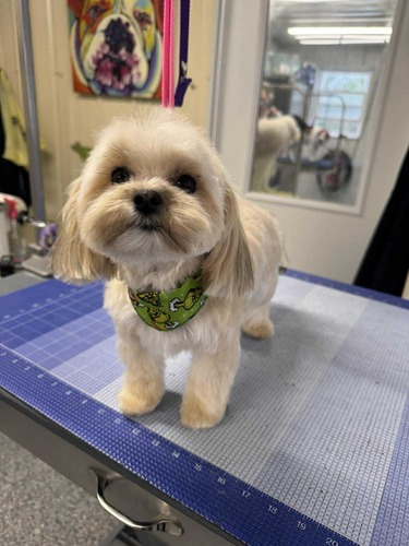 Gland Expression Oxford