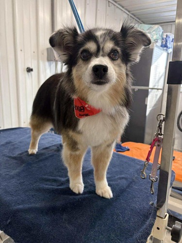 Nail Trimming & Grinding Oxford