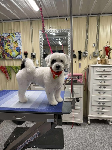 Teeth Cleaning Oxford