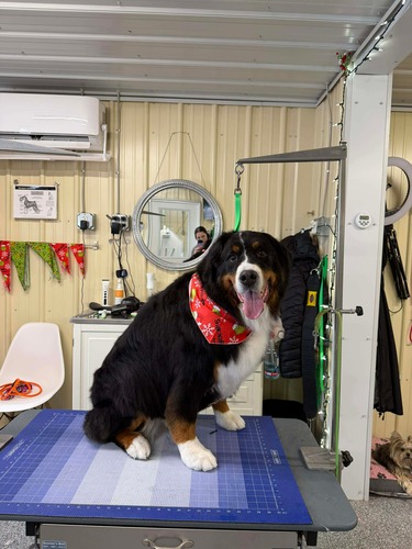 Oatmeal Spa Bathing Oxford