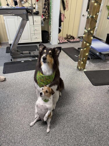 Creative Grooming Oxford