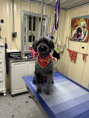 Teeth Cleaning Oxford