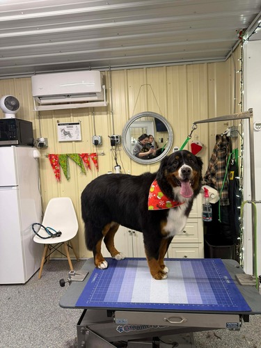 Skunk Bathing Oxford