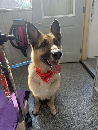 Nail Trimming & Grinding Oxford