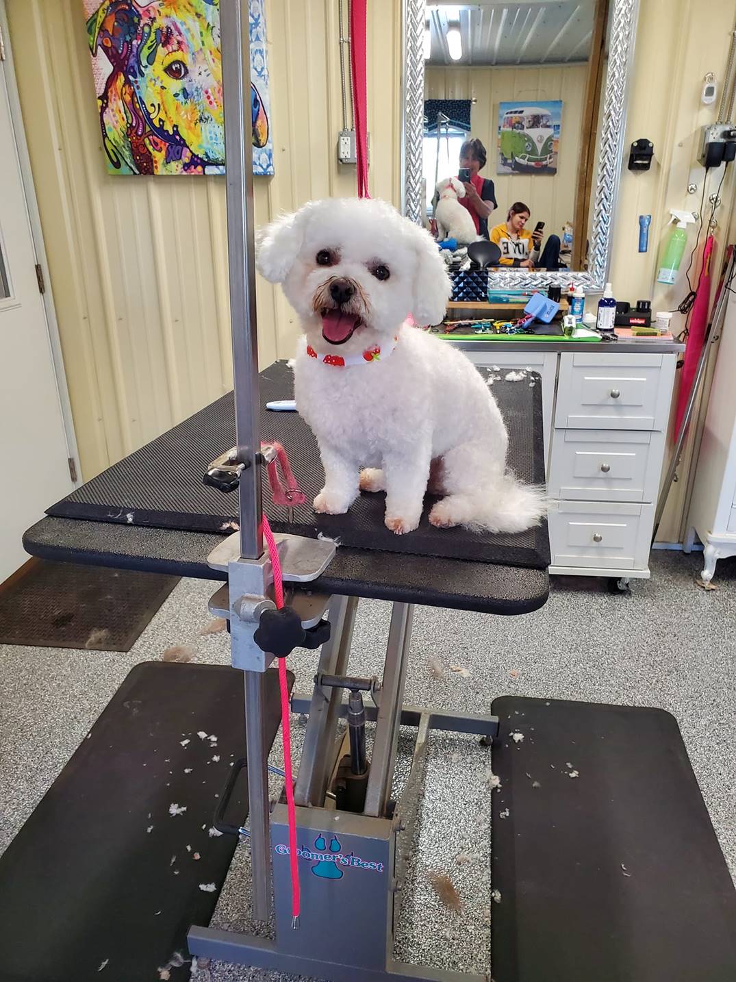 Pet Grooming Oxford