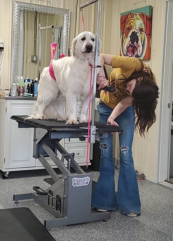 Nail Trimming & Grinding Oxford