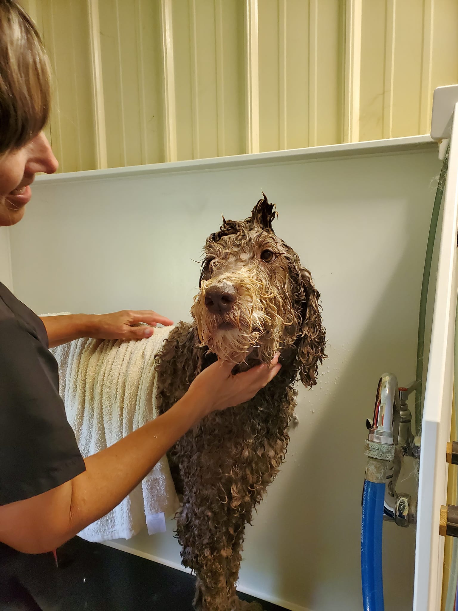 Mini Grooming Oxford