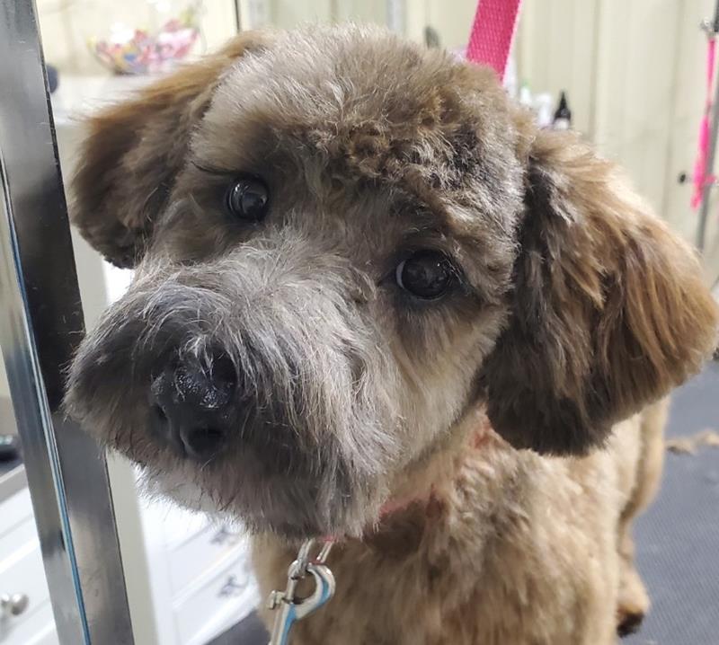 Nail Trimming & Grinding Oxford