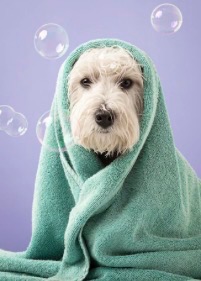 Oatmeal Spa Bathing in Oxford