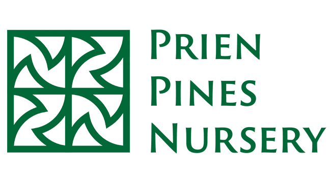 Prien Pines Nursery