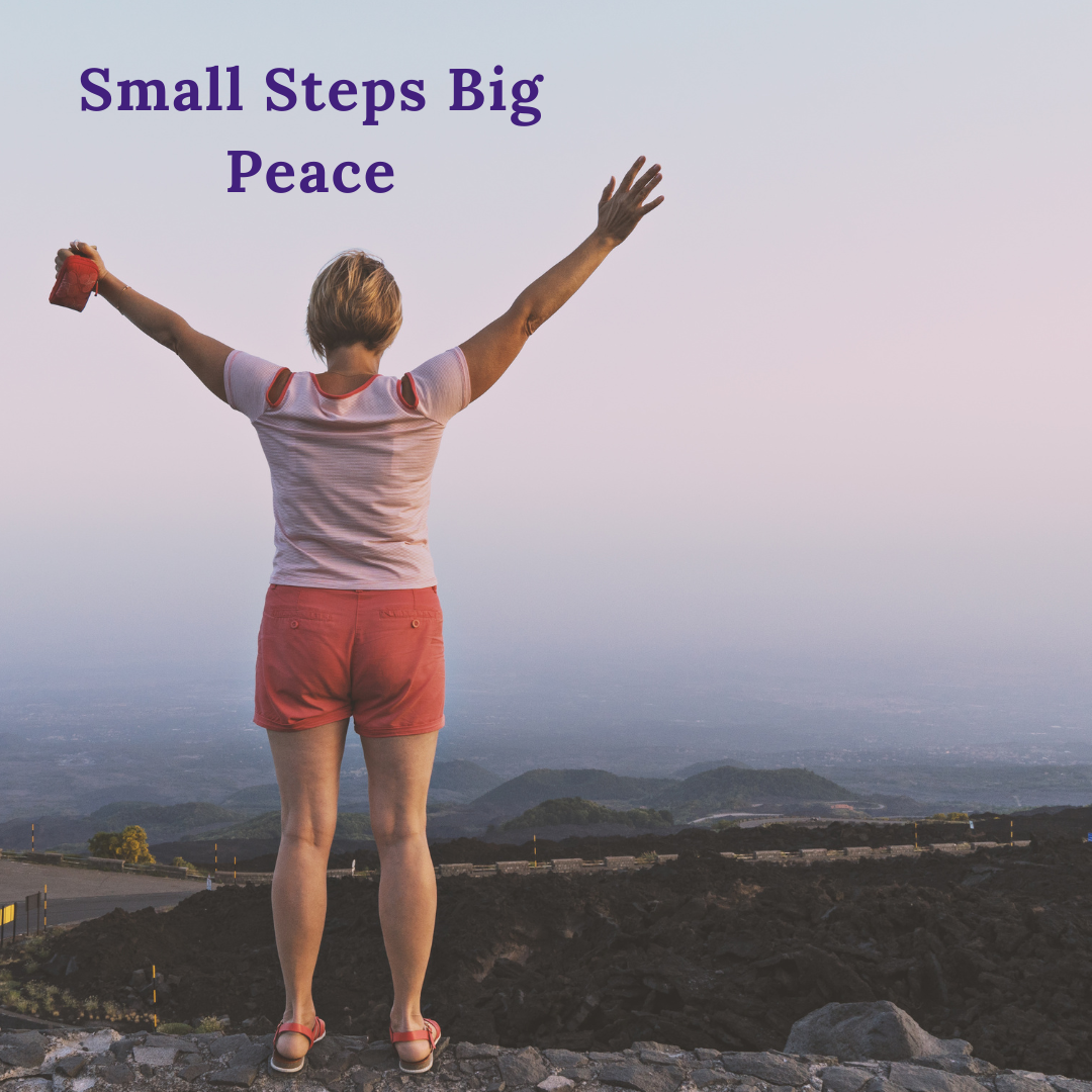 Small Steps Big Peace