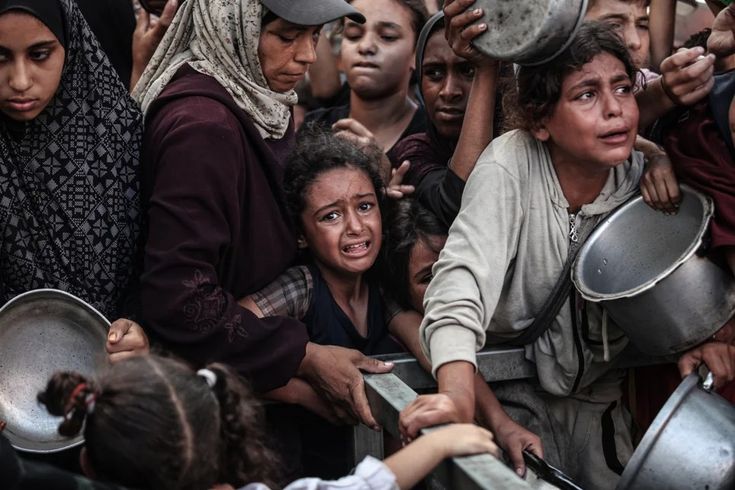 Feed Gaza