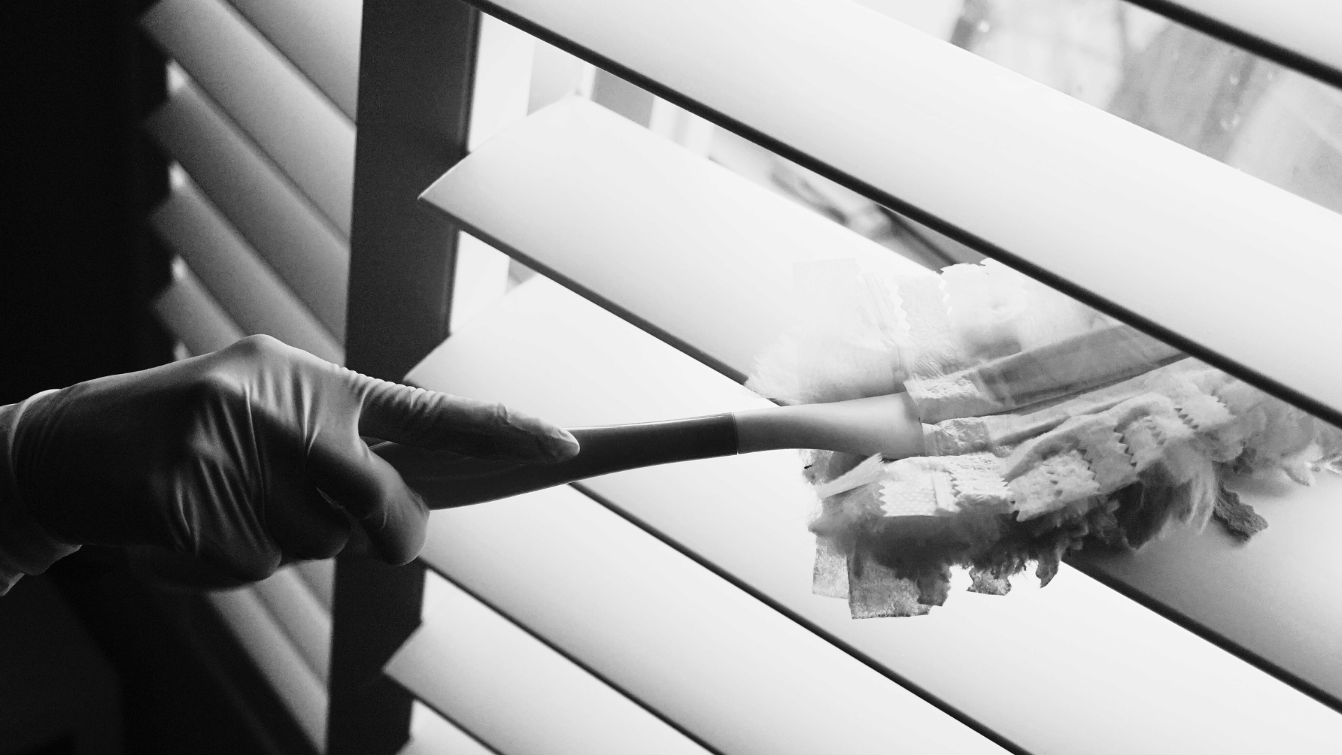 One-Time Deep Cleaning in Downers Grove