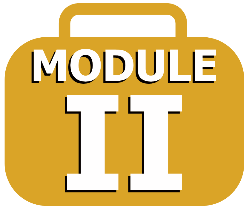 Module II icon