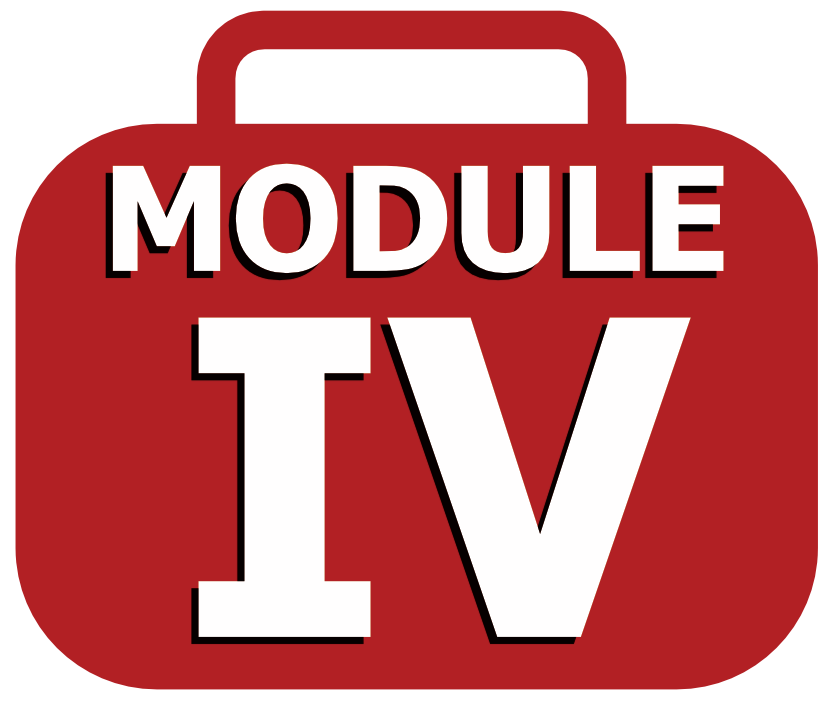 Module IV icon