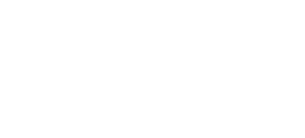 MSI Logo