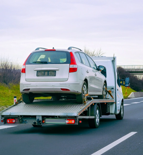 NZ Based Google Ads Management Services