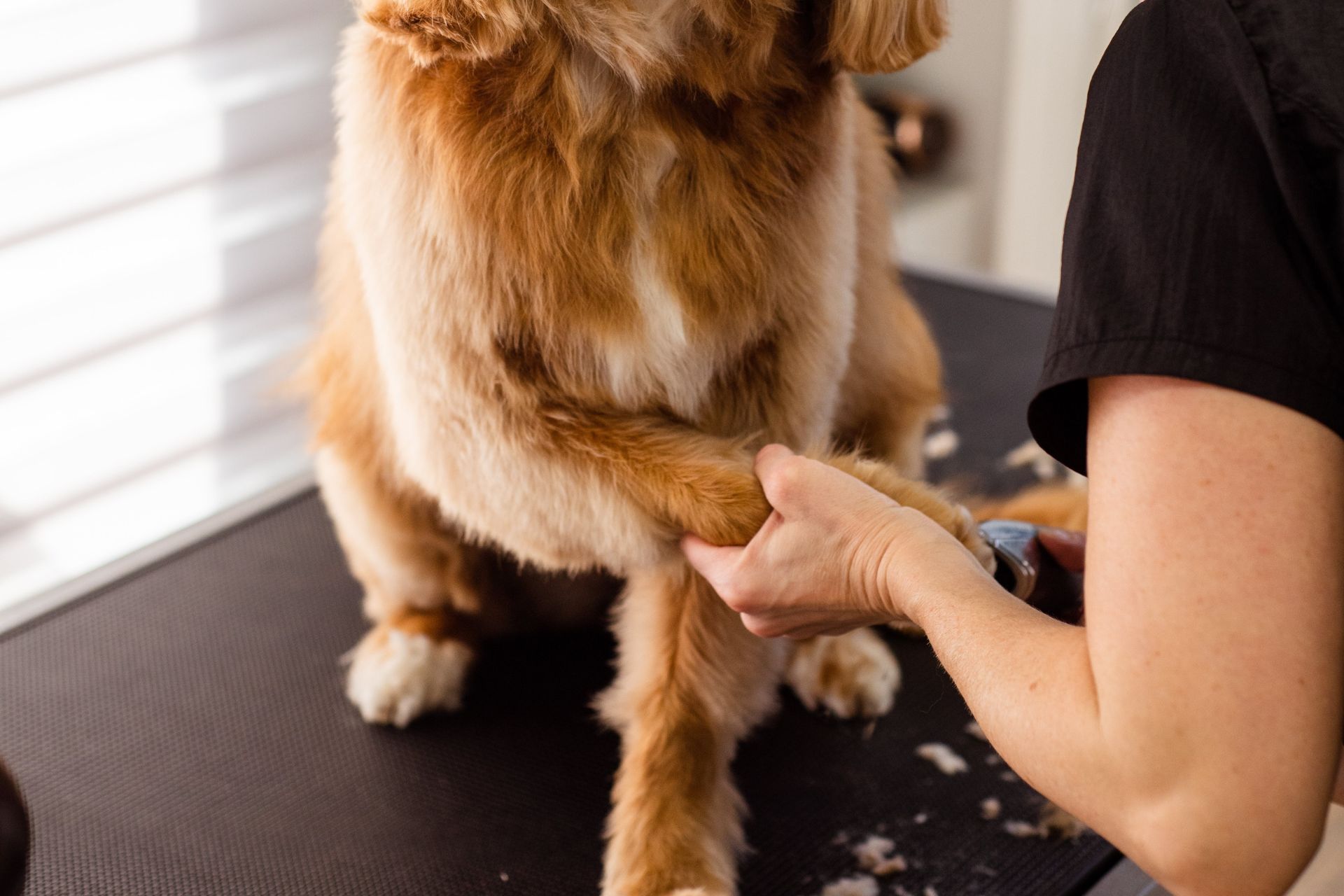 Nail Trim in Titusville
